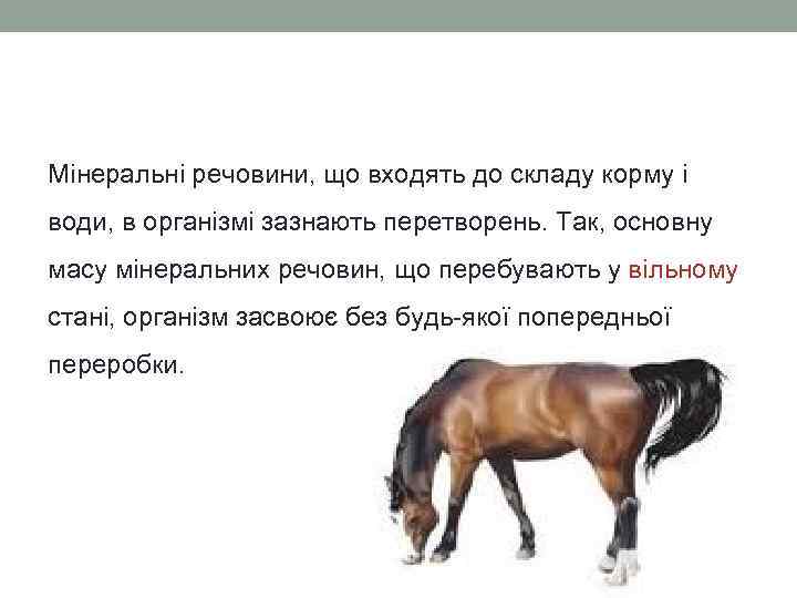 Мінеральні речовини, що входять до складу корму і води, в організмі зазнають перетворень. Так,