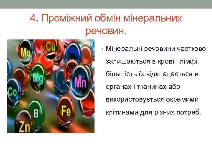 4. Проміжний обмін мінеральних речовин. • Мінеральні речовини частково залишаються в крові і лімфі,