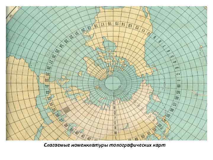 Карта с номенклатурой