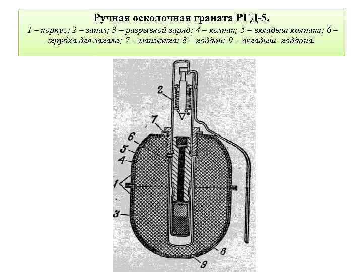 Ручная осколочная граната РГД-5. 1 – корпус; 2 – запал; 3 – разрывной заряд;