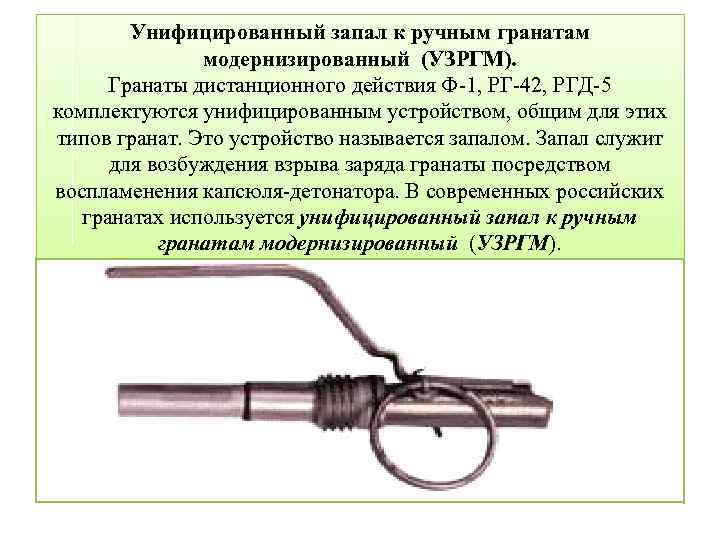 Запал это. Устройство гранаты РГД 5 И ф1. Запал ргд1 ф1. УЗРГМ ф1 диаметр. Запал гранаты РГД 5.