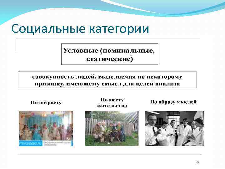 Социальные категории 