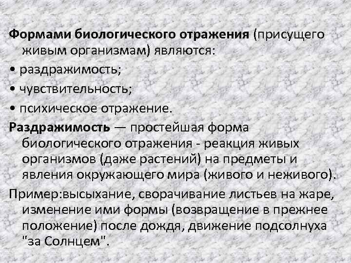 Сознание как отражение