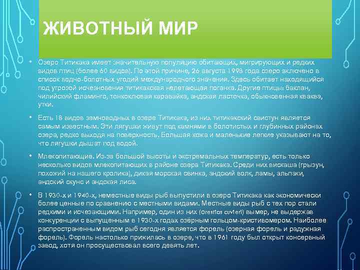 ЖИВОТНЫЙ МИР • Озеро Титикака имеет значительную популяцию обитающих, мигрирующих и редких видов птиц