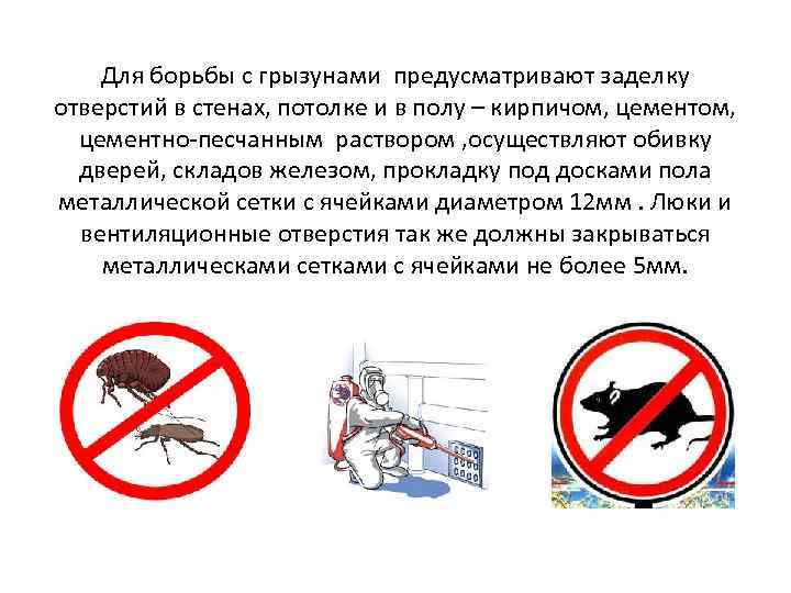 Для борьбы с грызунами предусматривают заделку отверстий в стенах, потолке и в полу –