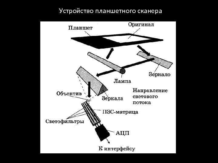 Устройство планшетного сканера 