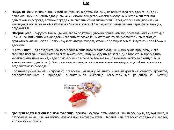 Нос • • • "Первый нос". Налить вино из этой же бутылки в другой