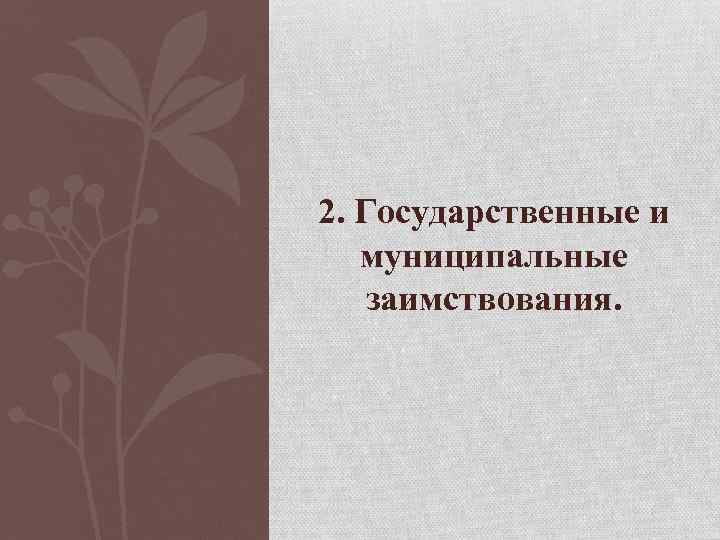 2. Государственные и муниципальные заимствования. 