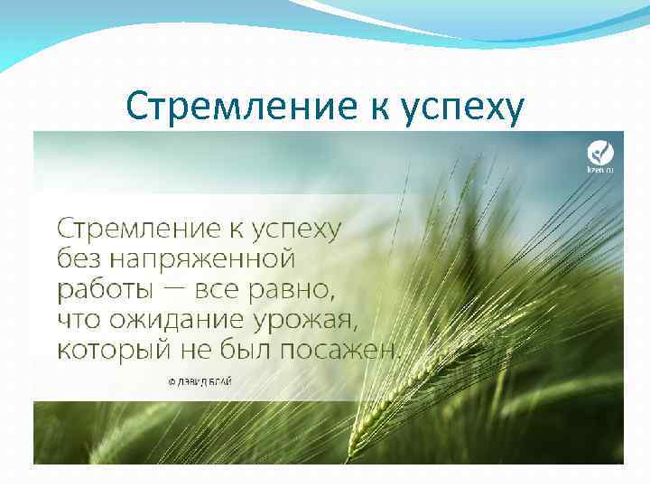 Стремление к успеху 
