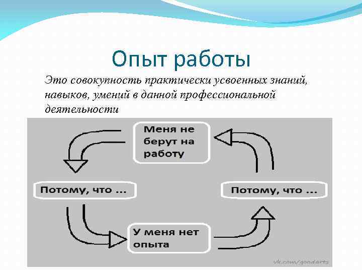 Опыт работы Это совокупность практически усвоенных знаний, навыков, умений в данной профессиональной деятельности 