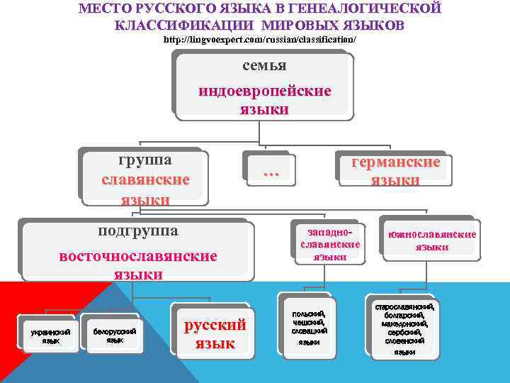 МЕСТО РУССКОГО ЯЗЫКА В ГЕНЕАЛОГИЧЕСКОЙ КЛАССИФИКАЦИИ МИРОВЫХ ЯЗЫКОВ http: //lingvoexpert. com/russian/classification/ семья индоевропейские языки