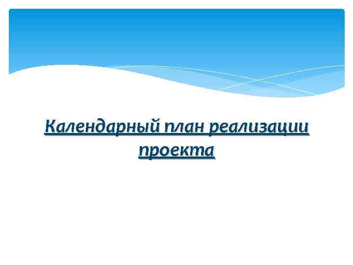 Календарный план реализации проекта 