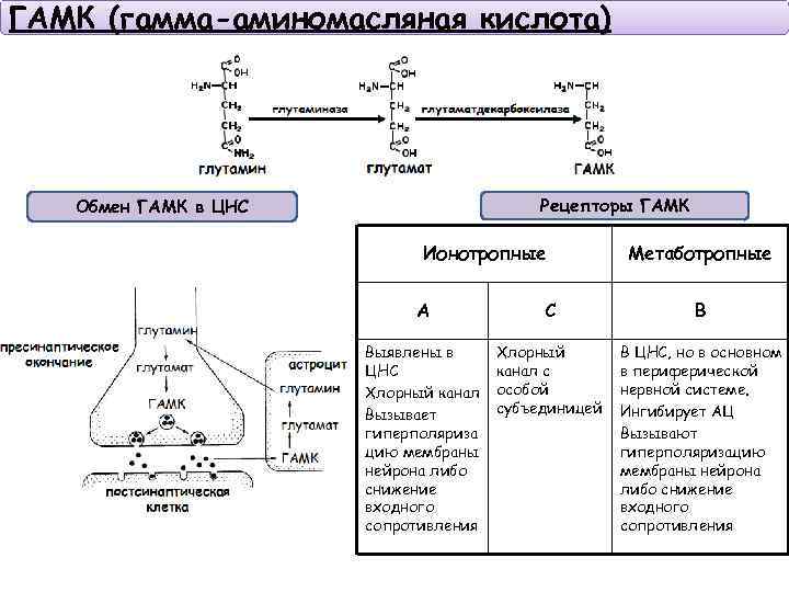 Механизм действия гамк схема