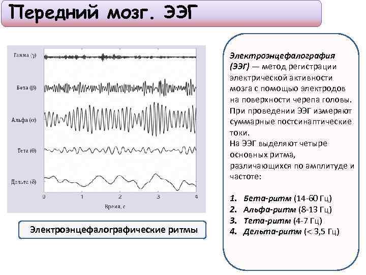 Схема стадий сна по данным ээг