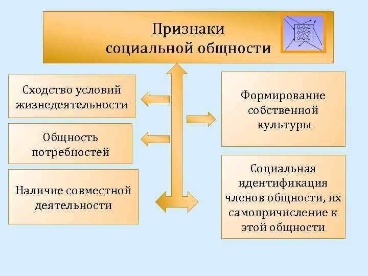 Признаки социальной общности Сходство условий жизнедеятельности Общность потребностей Наличие совместной деятельности Формирование собственной культуры