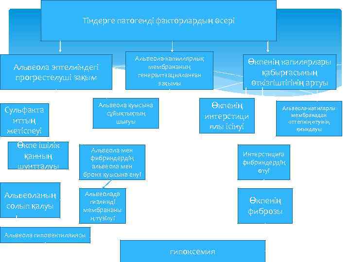 Тіндерге патогенді факторлардың әсері Альвеола-капиллярлық мембрананың генералтзацияланған зақымы Альвеола эптелиіндегі прогрестелуші зақым Альвеола қуысына