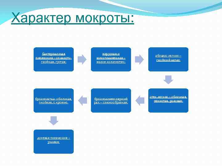 Характер мокроты: бактериальная пневмония – слизистогнойная, густая; вирусная и микоплазменная – малое количество; бронхоэктаз-