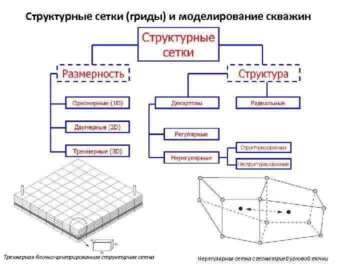 Что такое компьютерное моделирование в биологии