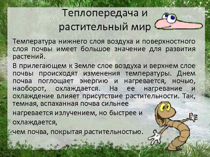 Теплопередача и растительный мир Температура нижнего слоя воздуха и поверхностного слоя почвы имеет большое