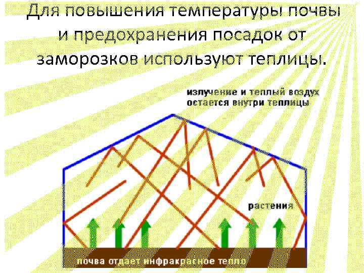 Для повышения температуры почвы и предохранения посадок от заморозков используют теплицы. 