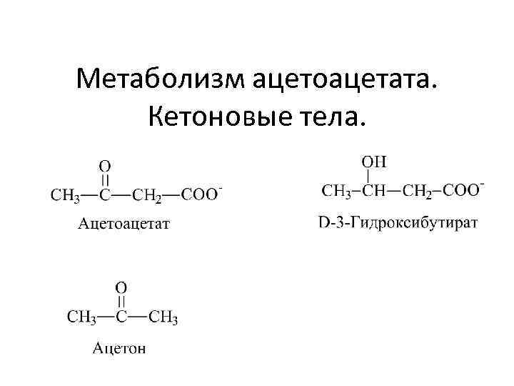 Метаболизм ацетоацетата. Кетоновые тела. 