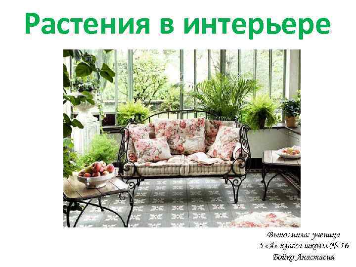 Растения в интерьере Выполнила: ученица 5 «А» класса школы № 16 Бойко Анастасия 