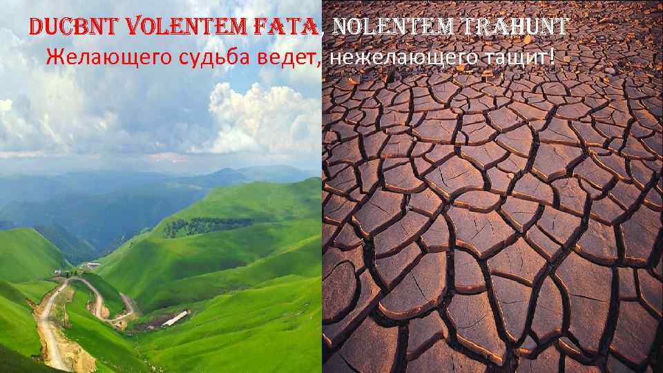 ducbnt volentem fata, nolentem trahunt Желающего судьба ведет, нежелающего тащит! 