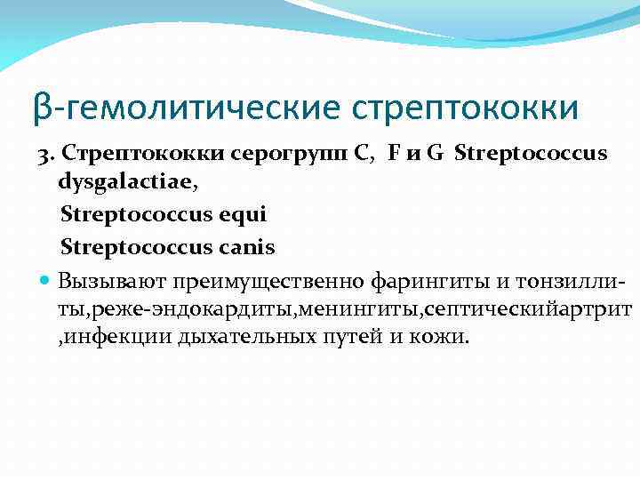 β-гемолитические стрептококки 3. Стрептококки серогрупп С, F и G Streptococcus dysgalactiae, Streptococcus equi Streptococcus