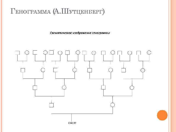 Как составить генограмму семьи схема пример