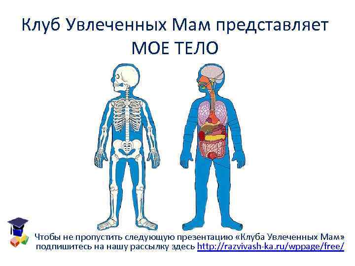 Клуб Увлеченных Мам представляет МОЕ ТЕЛО Чтобы не пропустить следующую презентацию «Клуба Увлеченных Мам»