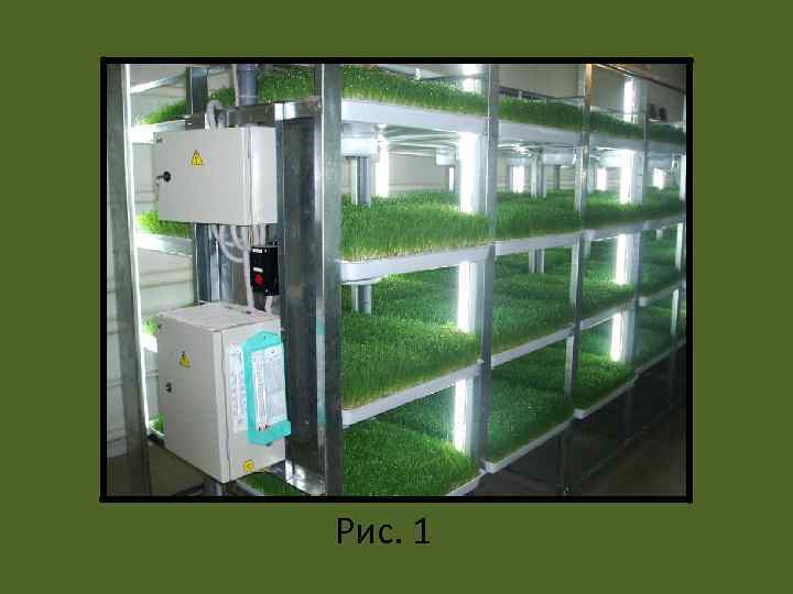Рис. 1 