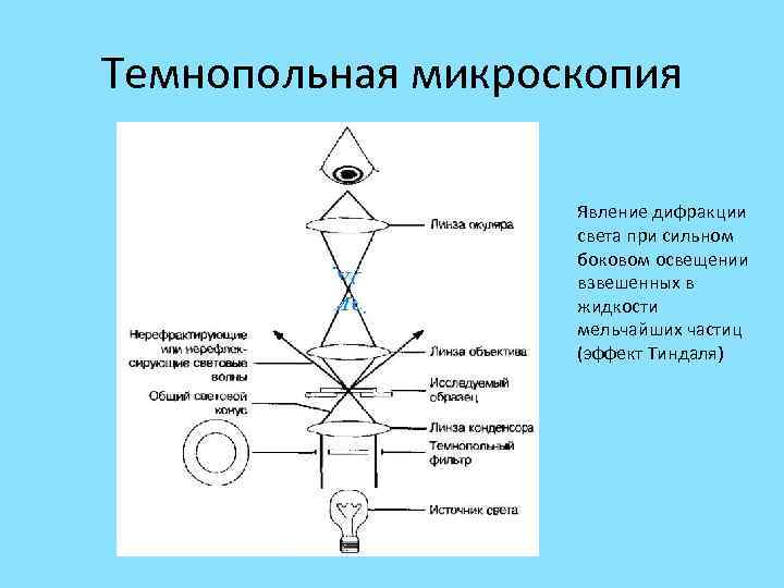 Темнопольная микроскопия Явление дифракции света при сильном боковом освещении взвешенных в жидкости мельчайших частиц