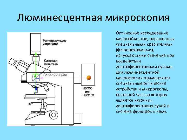 Люминесцентная микроскопия Оптическое исследование микрообъектов, окрашенных специальными красителями (флюорохромами), испускающими свечение при воздействии ультрафиолетовыми