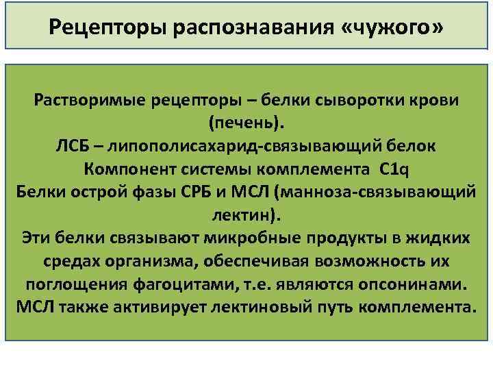 Рецепторы распознавания «чужого» Растворимые рецепторы – белки сыворотки крови (печень). ЛСБ – липополисахарид связывающий