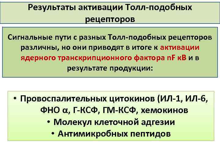 Результаты активации Толл подобных рецепторов Сигнальные пути с разных Толл подобных рецепторов различны, но