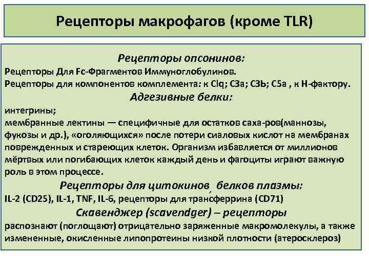 Рецепторы макрофагов (кроме TLR) Рецепторы опсонинов: Рецепторы Для Fc Фрагментов Иммуноглобулинов. Рецепторы для компонентов