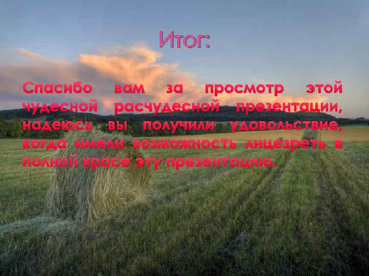 Итог: Спасибо вам за просмотр этой чудесной расчудесной презентации, надеюсь вы получили удовольствие, когда