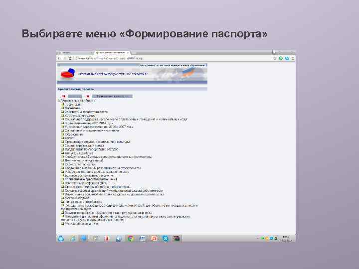 Выбираете меню «Формирование паспорта» 