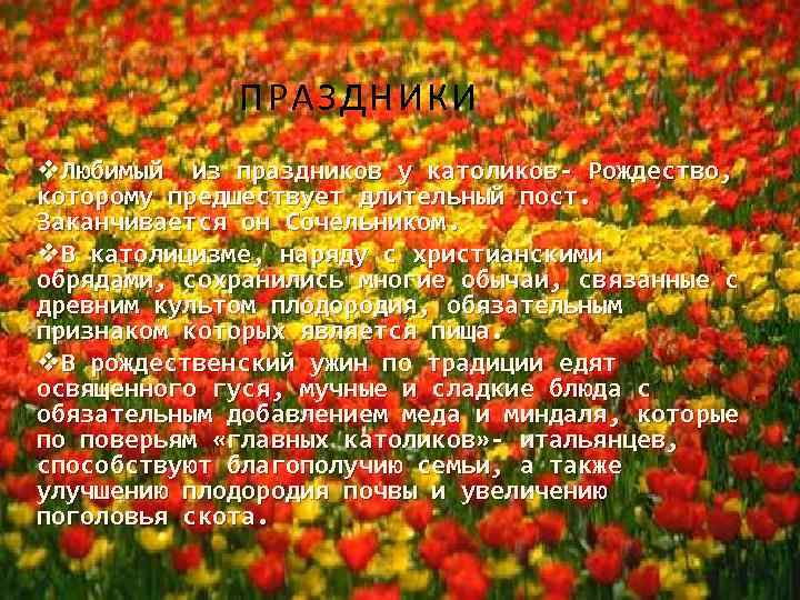 ПРАЗДНИКИ v. Любимый из праздников у католиков- Рождество, которому предшествует длительный пост. Заканчивается он