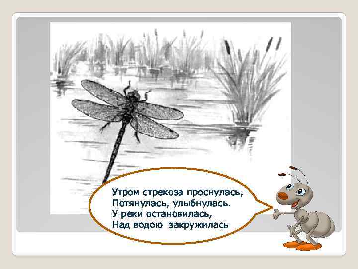 Утром стрекоза проснулась, Потянулась, улыбнулась. У реки остановилась, Над водою закружилась 