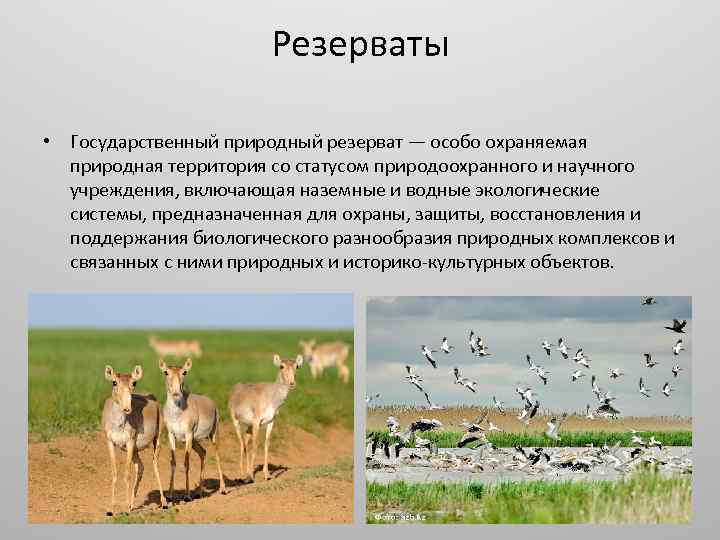 Резерваты • Государственный природный резерват — особо охраняемая природная территория со статусом природоохранного и