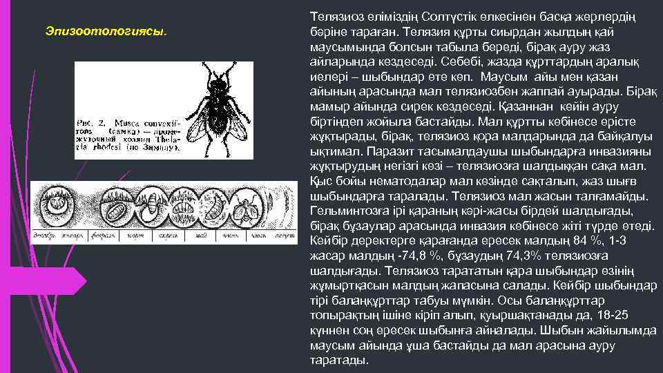 Эпизоотологиясы. Телязиоз еліміздің Солтүстік өлкесінен басқа жерлердің бәріне тараған. Телязия құрты сиырдан жылдың қай