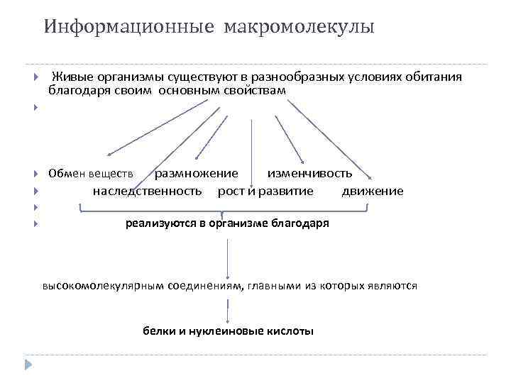 Информационные макромолекулы Живые организмы существуют в разнообразных условиях обитания благодаря своим основным свойствам Обмен