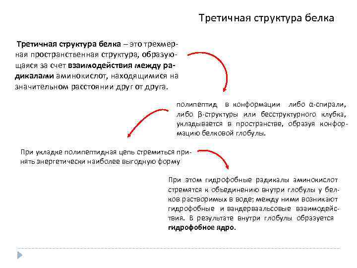 Третичная структура белка – это трехмерная пространственная структура, образующаяся за счет взаимодействия между радикалами