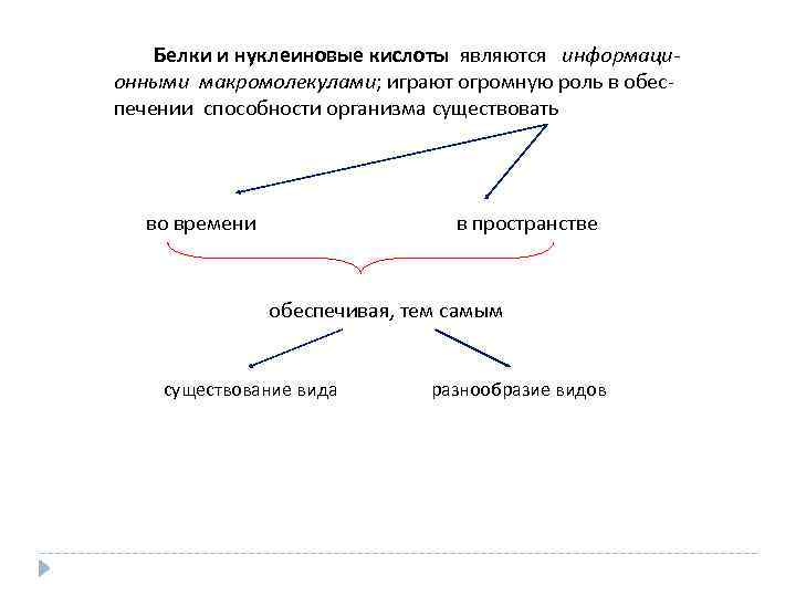  Белки и нуклеиновые кислоты являются информационными макромолекулами; играют огромную роль в обеспечении способности