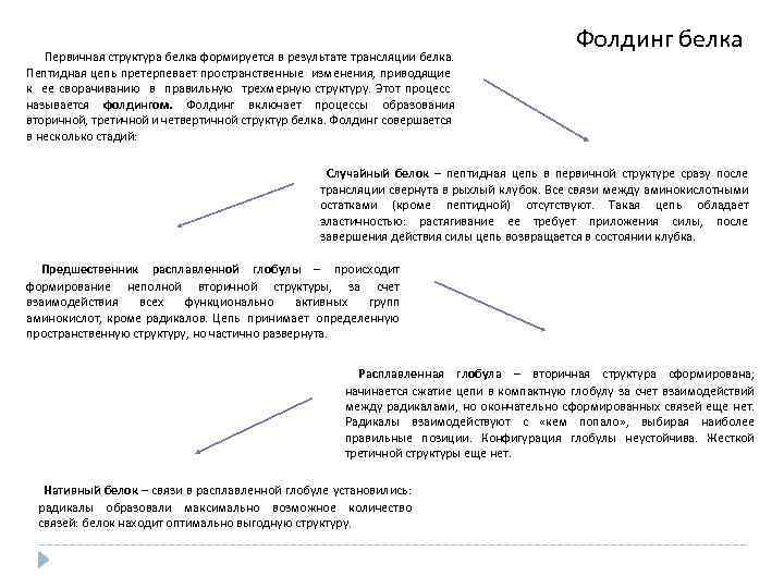  Первичная структура белка формируется в результате трансляции белка. Фолдинг белка Пептидная цепь претерпевает