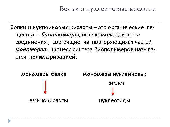 Белки и нуклеиновые кислоты – это органические вещества - биополимеры, высокомолекулярные соединения , состоящие