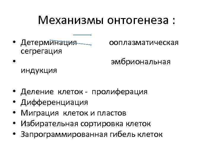 Механизмы онтогенеза : • Детерминация ооплазматическая сегрегация • эмбриональная индукция • • • Деление