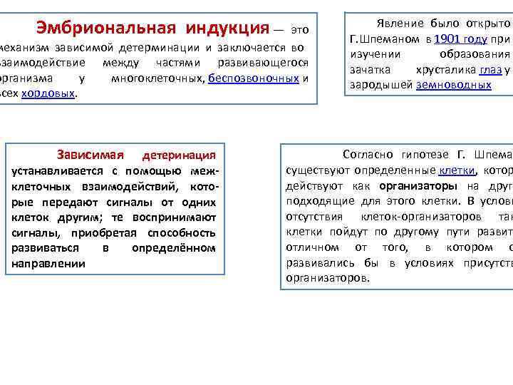  Эмбриональная индукция — это механизм зависимой детерминации и заключается во взаимодействие между частями