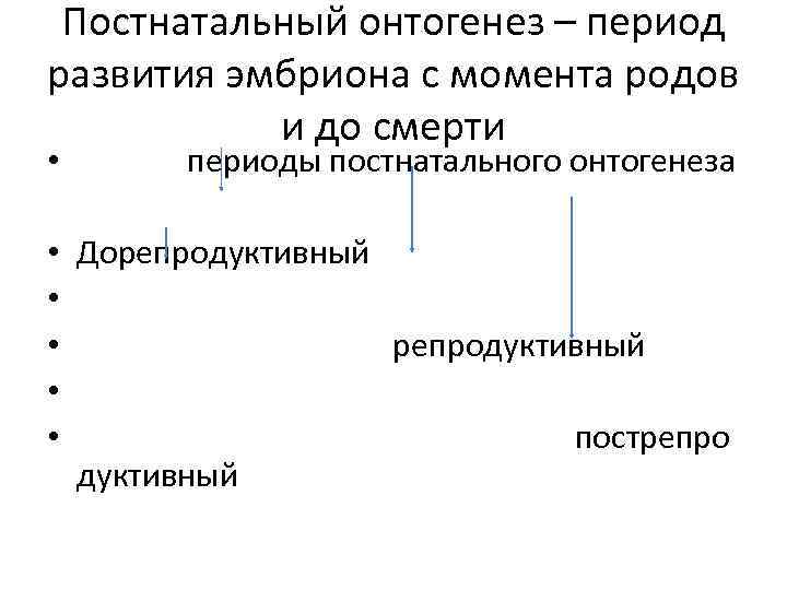 Постнатальный онтогенез – период развития эмбриона с момента родов и до смерти • периоды